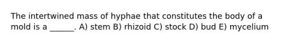 The intertwined mass of hyphae that constitutes the body of a mold is a ______. A) stem B) rhizoid C) stock D) bud E) mycelium