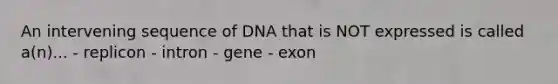 An intervening sequence of DNA that is NOT expressed is called a(n)... - replicon - intron - gene - exon