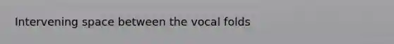 Intervening space between the vocal folds