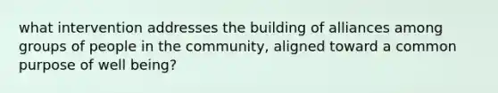 what intervention addresses the building of alliances among groups of people in the community, aligned toward a common purpose of well being?