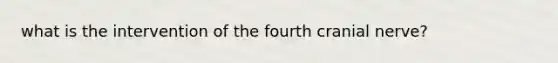 what is the intervention of the fourth cranial nerve?