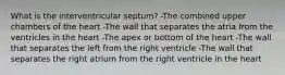 What is the interventricular septum? -The combined upper chambers of the heart -The wall that separates the atria from the ventricles in the heart -The apex or bottom of the heart -The wall that separates the left from the right ventricle -The wall that separates the right atrium from the right ventricle in the heart