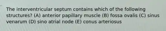 The interventricular septum contains which of the following structures? (A) anterior papillary muscle (B) fossa ovalis (C) sinus venarum (D) sino atrial node (E) conus arteriosus