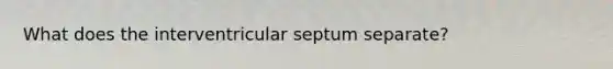 What does the interventricular septum separate?