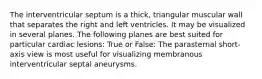 The interventricular septum is a thick, triangular muscular wall that separates the right and left ventricles. It may be visualized in several planes. The following planes are best suited for particular cardiac lesions: True or False: The parasternal short-axis view is most useful for visualizing membranous interventricular septal aneurysms.