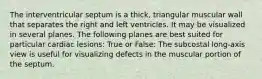 The interventricular septum is a thick, triangular muscular wall that separates the right and left ventricles. It may be visualized in several planes. The following planes are best suited for particular cardiac lesions: True or False: The subcostal long-axis view is useful for visualizing defects in the muscular portion of the septum.