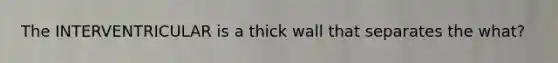 The INTERVENTRICULAR is a thick wall that separates the what?