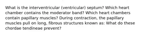 What is the interventricular (ventricular) septum? Which heart chamber contains the moderator band? Which heart chambers contain papillary muscles? During contraction, the papillary muscles pull on long, fibrous structures known as: What do these chordae tendineae prevent?