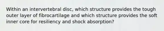 Within an intervertebral disc, which structure provides the tough outer layer of fibrocartilage and which structure provides the soft inner core for resiliency and shock absorption?