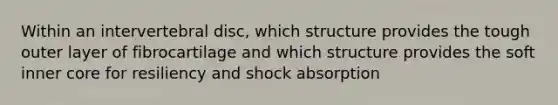 Within an intervertebral disc, which structure provides the tough outer layer of fibrocartilage and which structure provides the soft inner core for resiliency and shock absorption