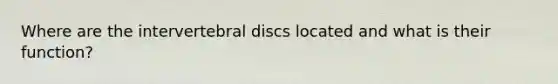 Where are the intervertebral discs located and what is their function?