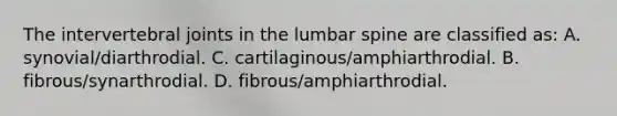 The intervertebral joints in the lumbar spine are classified as: A. synovial/diarthrodial. C. cartilaginous/amphiarthrodial. B. fibrous/synarthrodial. D. fibrous/amphiarthrodial.