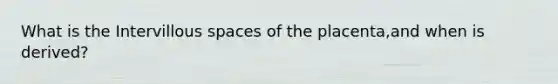 What is the Intervillous spaces of the placenta,and when is derived?