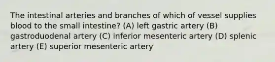 The intestinal arteries and branches of which of vessel supplies blood to the small intestine? (A) left gastric artery (B) gastroduodenal artery (C) inferior mesenteric artery (D) splenic artery (E) superior mesenteric artery