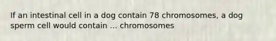 If an intestinal cell in a dog contain 78 chromosomes, a dog sperm cell would contain ... chromosomes