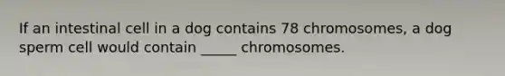 If an intestinal cell in a dog contains 78 chromosomes, a dog sperm cell would contain _____ chromosomes.