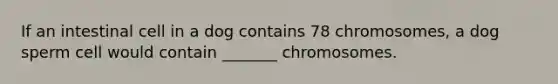 If an intestinal cell in a dog contains 78 chromosomes, a dog sperm cell would contain _______ chromosomes.