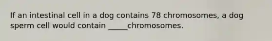 If an intestinal cell in a dog contains 78 chromosomes, a dog sperm cell would contain _____chromosomes.