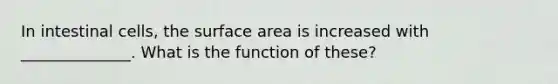 In intestinal cells, the surface area is increased with ______________. What is the function of these?