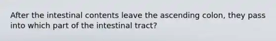 After the intestinal contents leave the ascending colon, they pass into which part of the intestinal tract?