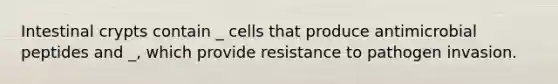 Intestinal crypts contain _ cells that produce antimicrobial peptides and _, which provide resistance to pathogen invasion.