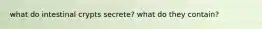 what do intestinal crypts secrete? what do they contain?