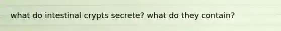 what do intestinal crypts secrete? what do they contain?