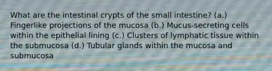 What are the intestinal crypts of <a href='https://www.questionai.com/knowledge/kt623fh5xn-the-small-intestine' class='anchor-knowledge'>the small intestine</a>? (a.) Fingerlike projections of the mucosa (b.) Mucus-secreting cells within the epithelial lining (c.) Clusters of lymphatic tissue within the submucosa (d.) Tubular glands within the mucosa and submucosa