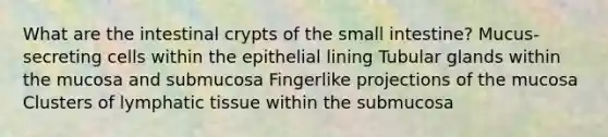 What are the intestinal crypts of the small intestine? Mucus-secreting cells within the epithelial lining Tubular glands within the mucosa and submucosa Fingerlike projections of the mucosa Clusters of lymphatic tissue within the submucosa