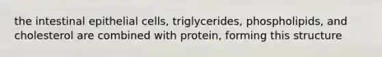 the intestinal epithelial cells, triglycerides, phospholipids, and cholesterol are combined with protein, forming this structure