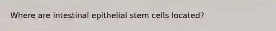 Where are intestinal epithelial stem cells located?