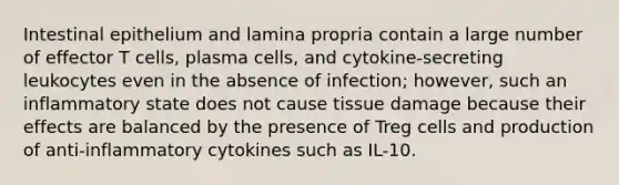 Intestinal epithelium and lamina propria contain a large number of effector T cells, plasma cells, and cytokine-secreting leukocytes even in the absence of infection; however, such an inflammatory state does not cause tissue damage because their effects are balanced by the presence of Treg cells and production of anti-inflammatory cytokines such as IL-10.