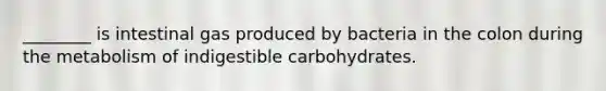 ________ is intestinal gas produced by bacteria in the colon during the metabolism of indigestible carbohydrates.