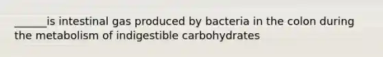 ______is intestinal gas produced by bacteria in the colon during the metabolism of indigestible carbohydrates