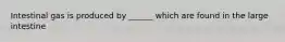 Intestinal gas is produced by ______ which are found in the large intestine