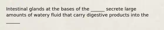 Intestinal glands at the bases of the ______ secrete large amounts of watery fluid that carry digestive products into the ______