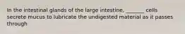 In the intestinal glands of the large intestine, _______ cells secrete mucus to lubricate the undigested material as it passes through