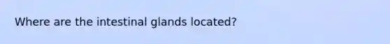 Where are the intestinal glands located?