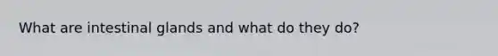 What are intestinal glands and what do they do?