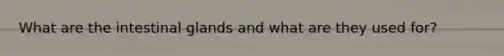 What are the intestinal glands and what are they used for?