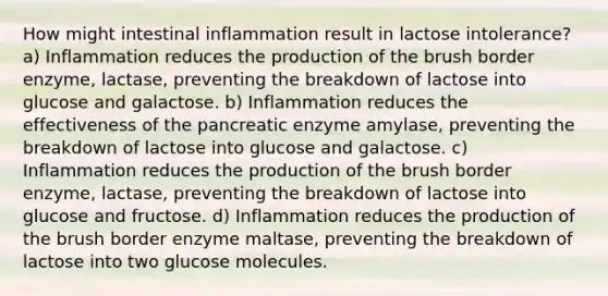 How might intestinal inflammation result in lactose intolerance? a) Inflammation reduces the production of the brush border enzyme, lactase, preventing the breakdown of lactose into glucose and galactose. b) Inflammation reduces the effectiveness of the pancreatic enzyme amylase, preventing the breakdown of lactose into glucose and galactose. c) Inflammation reduces the production of the brush border enzyme, lactase, preventing the breakdown of lactose into glucose and fructose. d) Inflammation reduces the production of the brush border enzyme maltase, preventing the breakdown of lactose into two glucose molecules.