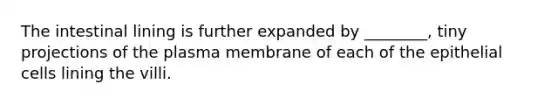 The intestinal lining is further expanded by ________, tiny projections of the plasma membrane of each of the epithelial cells lining the villi.