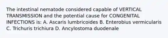 The intestinal nematode considered capable of VERTICAL TRANSMISSION and the potential cause for CONGENITAL INFECTIONS is: A. Ascaris lumbricoides B. Enterobius vermicularis C. Trichuris trichiura D. Ancylostoma duodenale