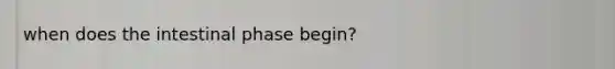 when does the intestinal phase begin?