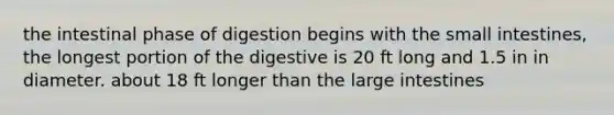 the intestinal phase of digestion begins with the small intestines, the longest portion of the digestive is 20 ft long and 1.5 in in diameter. about 18 ft longer than the large intestines