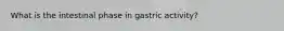 What is the intestinal phase in gastric activity?