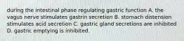 during the intestinal phase regulating gastric function A. the vagus nerve stimulates gastrin secretion B. stomach distension stimulates acid secretion C. gastric gland secretions are inhibited D. gastric emptying is inhibited.