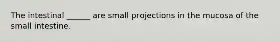 The intestinal ______ are small projections in the mucosa of the small intestine.
