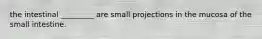 the intestinal _________ are small projections in the mucosa of the small intestine.