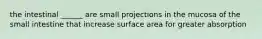 the intestinal ______ are small projections in the mucosa of the small intestine that increase surface area for greater absorption